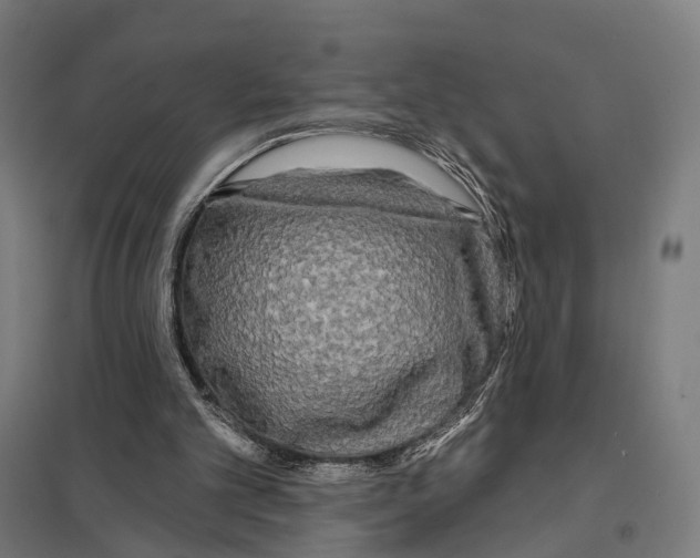 X0000097630101200803281110