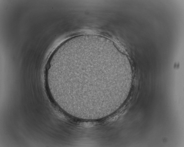 X0000097630103200803281110