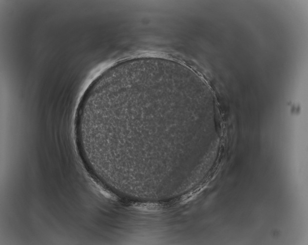 X0000097630104200803281110