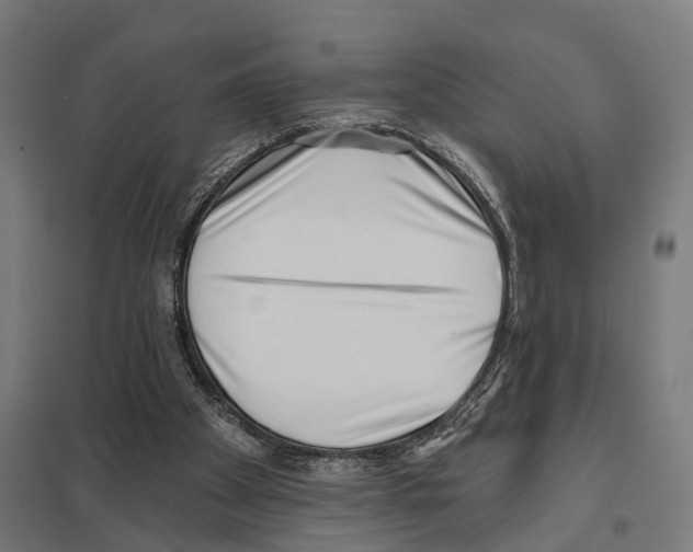 X0000097630105200803281110