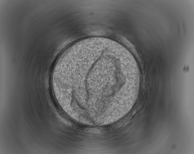 X0000097630106200803281110