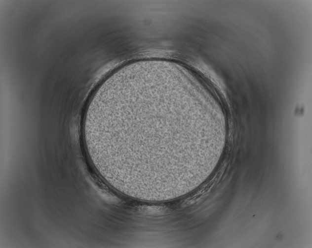 X0000097630107200803281110