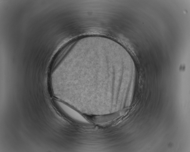 X0000097630108200803281110
