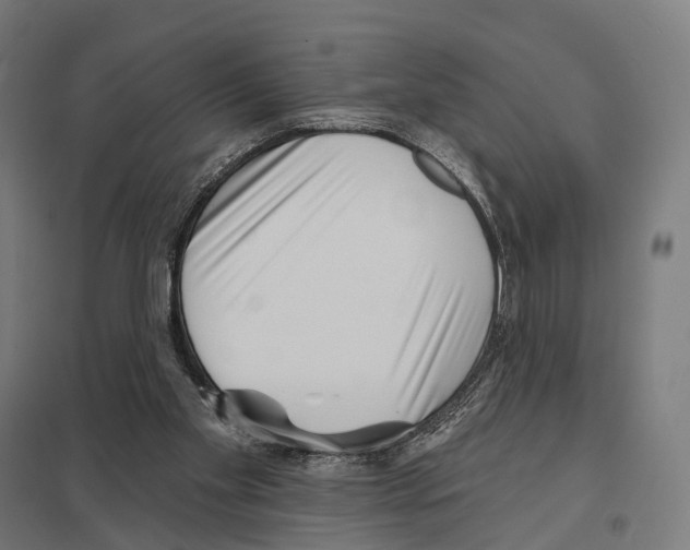 X0000097630109200803281110