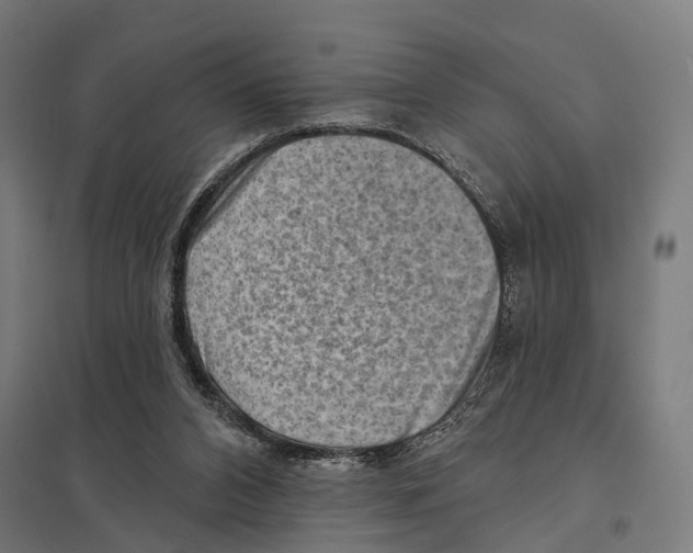 X0000097630112200803281109