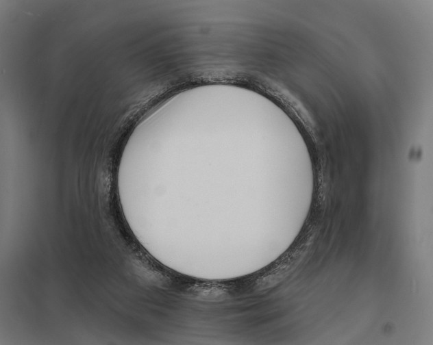 X0000097630113200803281109