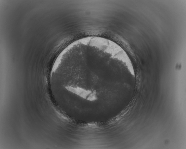 X0000097630114200803281109