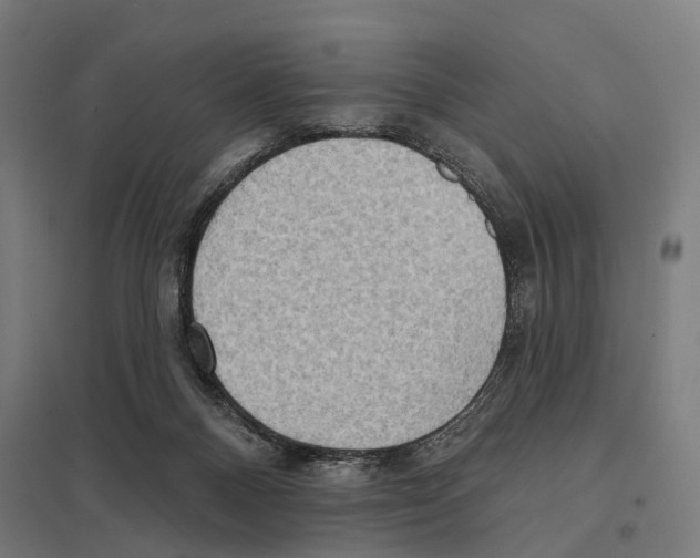 X0000097630120200803281109