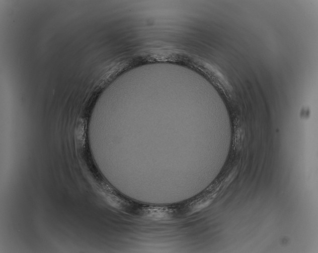 X0000097630121200803281109