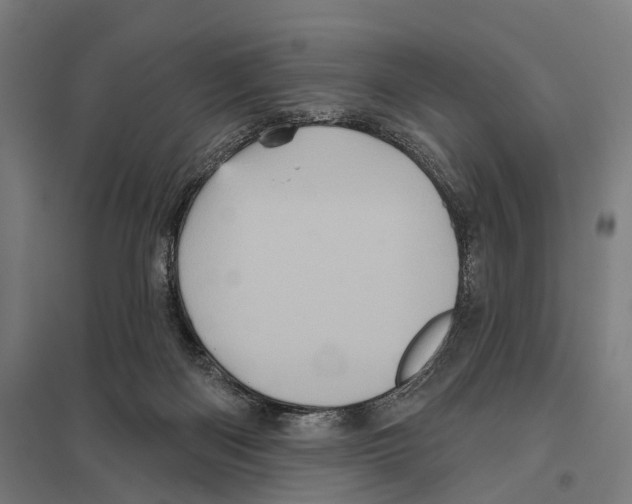 X0000097630122200803281109