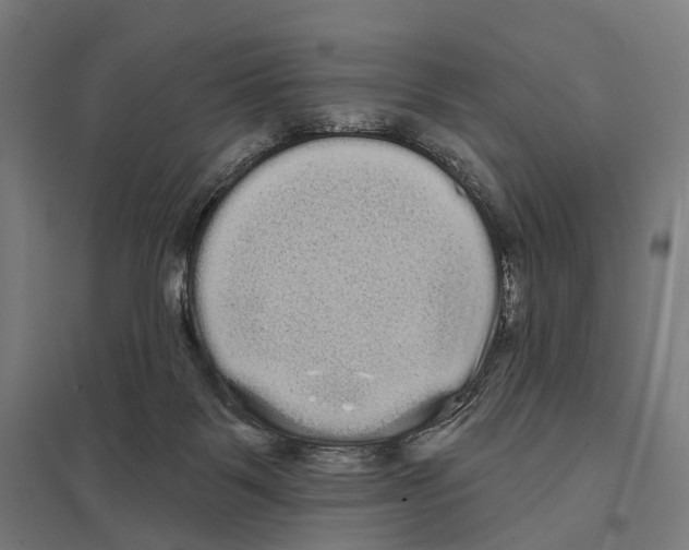 X0000097630123200803281109