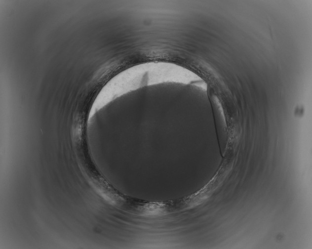 X0000097630124200803281109