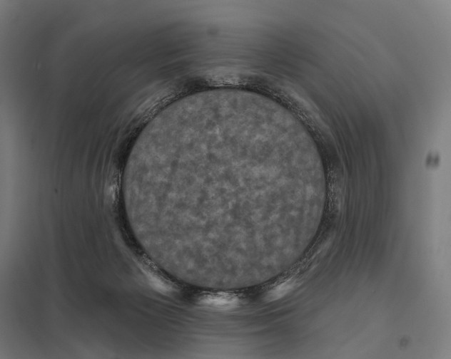 X0000097630125200803281109