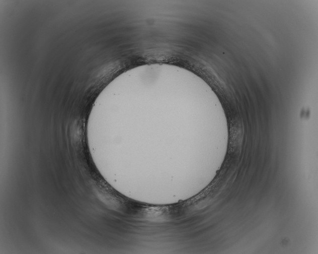X0000097630126200803281109