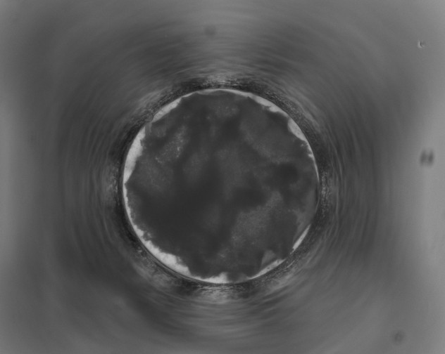 X0000097630127200803281109