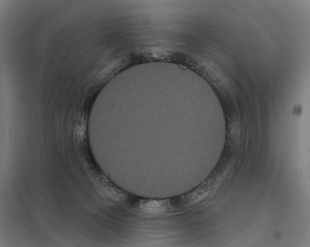 X0000097630129200803281109