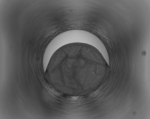 X0000097630130200803281109