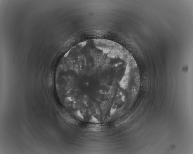 X0000097630131200803281109