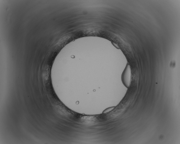 X0000097630133200803281109