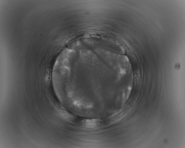X0000097630134200803281109