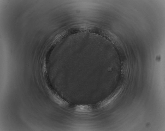 X0000097630137200803281109