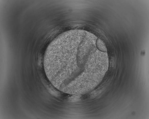 X0000097630138200803281109