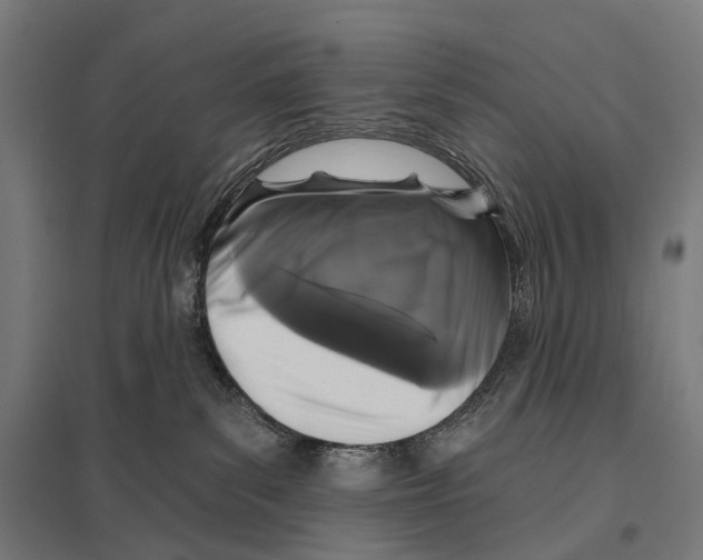 X0000097630139200803281109