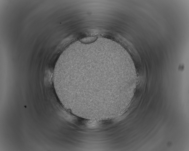 X0000097630142200803281109