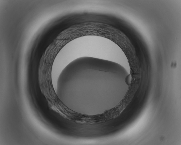 X0000097630143200803281109