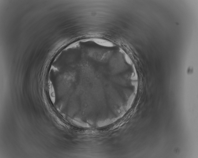 X0000097630145200803281108