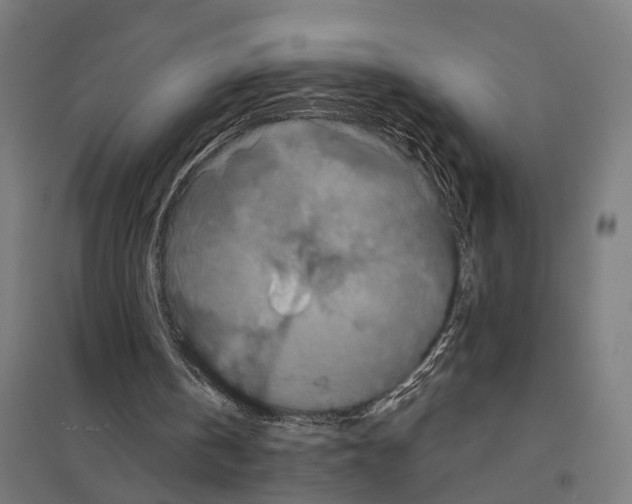 X0000097630146200803281108