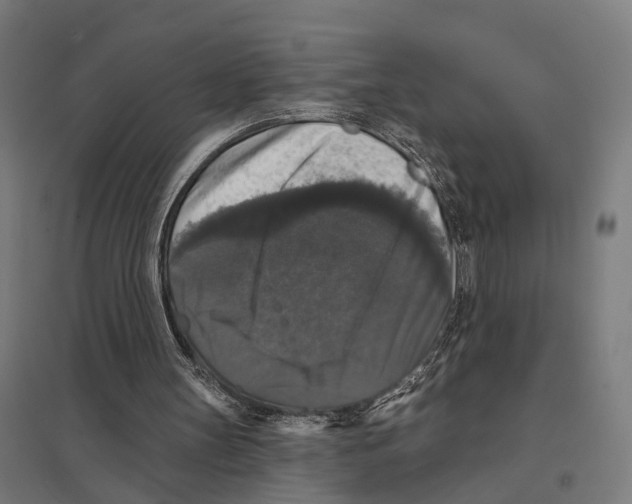 X0000097630147200803281108