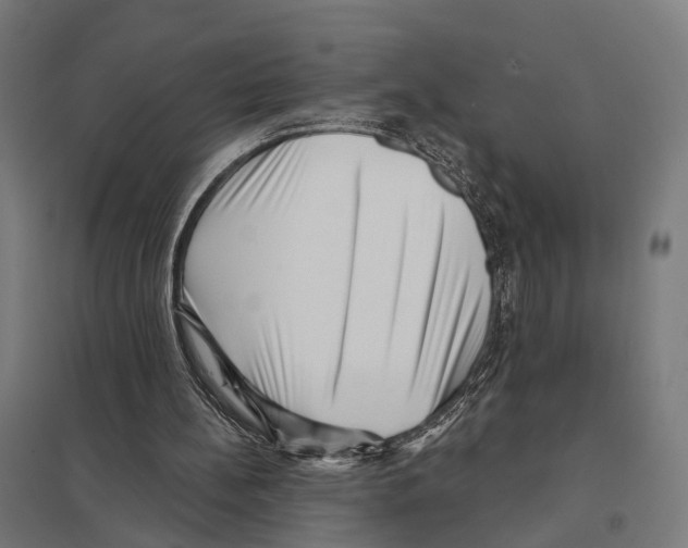 X0000097630148200803281108