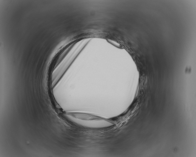 X0000097630150200803281108