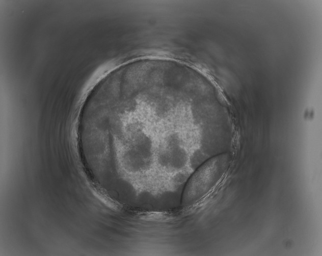 X0000097630151200803281108