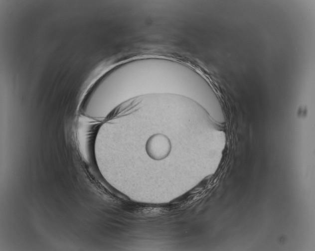 X0000097630152200803281108