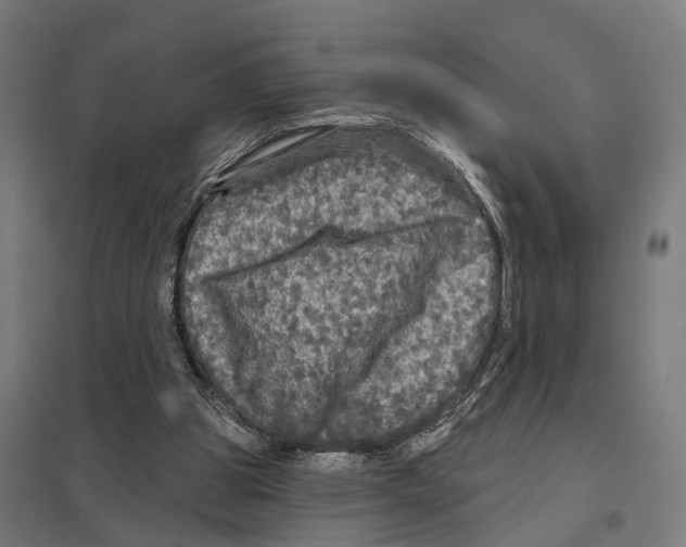 X0000097630153200803281108