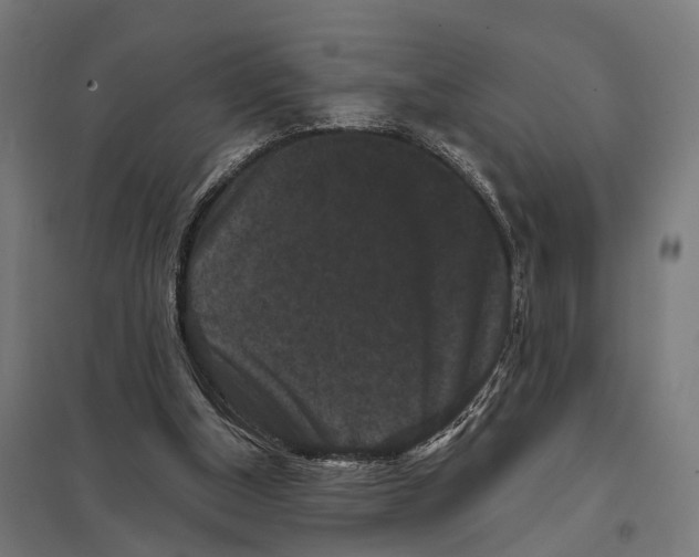 X0000097630154200803281109