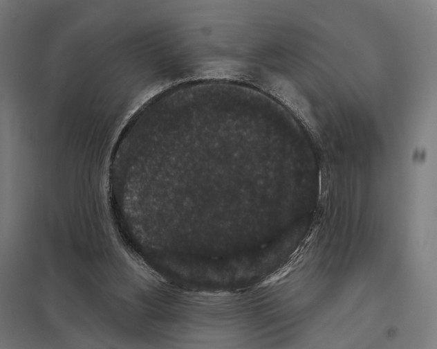 X0000097630156200803281109