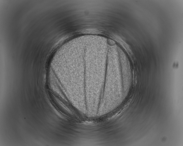 X0000097630157200803281109