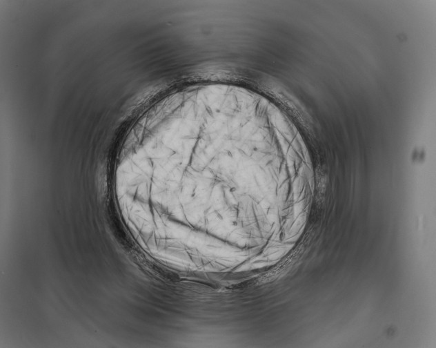 X0000097630158200803281109