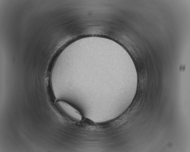 X0000097630160200803281109