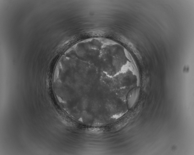 X0000097630161200803281109