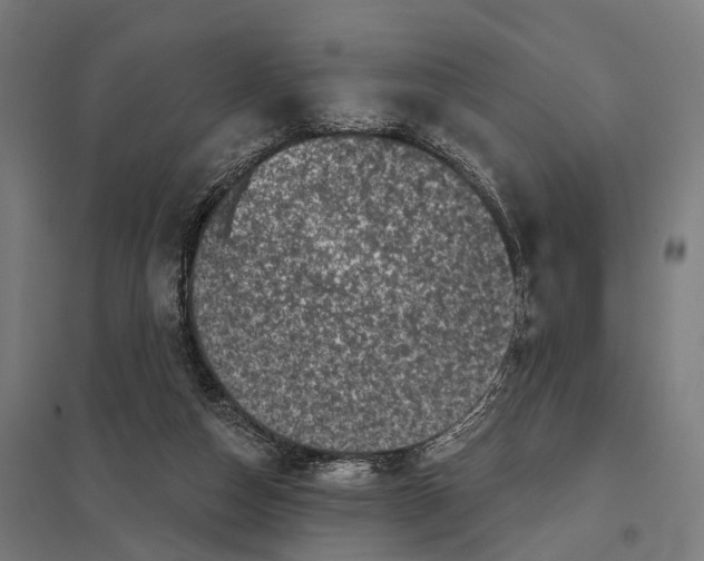 X0000097630162200803281109