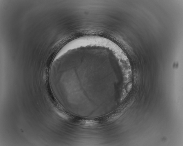 X0000097630165200803281109