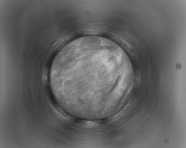 X0000097630166200803281109