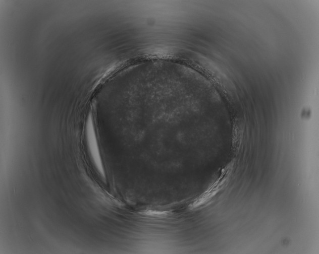 X0000097630168200803281109