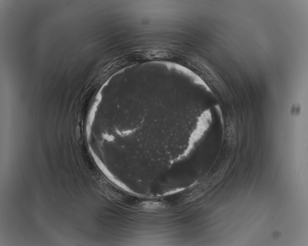 X0000097630169200803281109