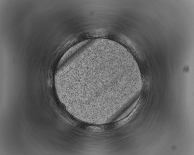 X0000097630170200803281109