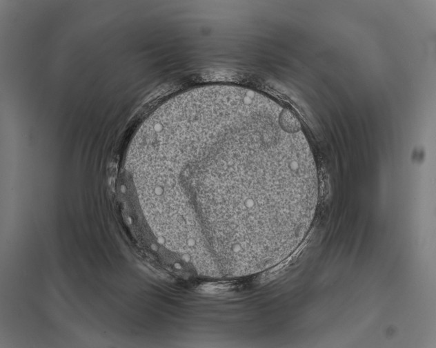 X0000097630171200803281109